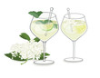 Elderflower summer drink - isolated vector illustration 