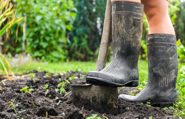 Farmer working in the garden. Bio products. Farmer equipmnet. 