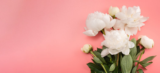 Wall Mural - Bouquet of white peony on a pink background.