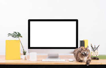 Mockup Blank screen desktop computer and decorations with cat animal on wood table and white wall background.