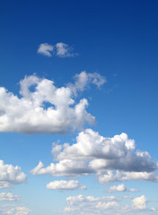 Wall Mural - Clouds in sky