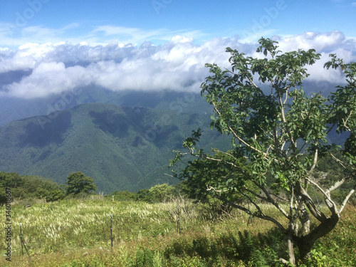 Fotomural Lush landscape of Mount Ibuki