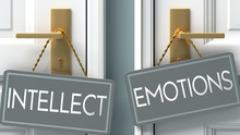 Emotions Or Intellect As A Choice In Life - Pictured As Words Intellect, Emotions On Doors To Show That Intellect And Emotions Are Different Options To Choose From, 3d Illustration