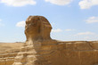 Portrait of the Great Sphinx of Egypt close.