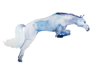 watercolor white horse painted in blue colors, isolated on white background