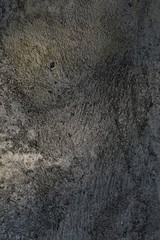 Wall Mural - concrete wall background