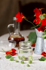 Poster - seeds of nasturtium conservation. nasturtium boots like capers. edible flowers and herbs.