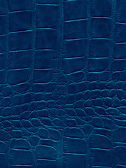 Wall Mural - Blue crocodile or reptile skin of high quality and high resolution. Texture and background of crocodile dark blue skin in square pattern for wallets, purse, bags and interior design.