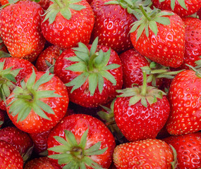 Fresh strawberry background from the garden