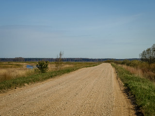 a simple country road, the first bright spring greenery, the first leaves in the trees