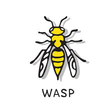 Wasp-08