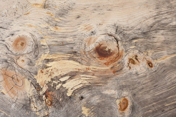 natural pine wood panels as background