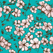 Springtime wallpapper with apricot blossom vector sketch