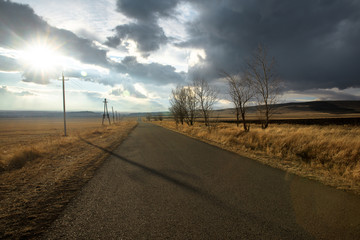 Wall Mural - road with landscape under sky