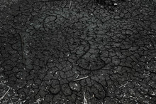 Dry Black Bottom Of A Drained River