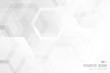 © Kochakorn - Abstract trendy technology of gradient white and gray hexagonal element pattern artwork design background. illustration vector eps10