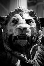 Head Of A Lion Statue In Madrid
