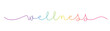 WELLNESS rainbow-colored vector monoline calligraphy banner with swashes
