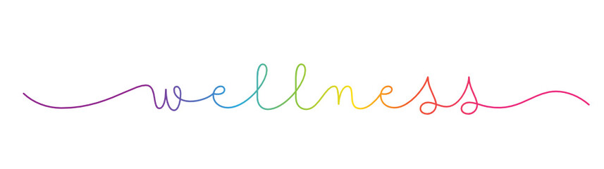 Wall Mural - WELLNESS rainbow-colored vector monoline calligraphy banner with swashes