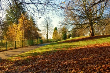  autumn in the park
