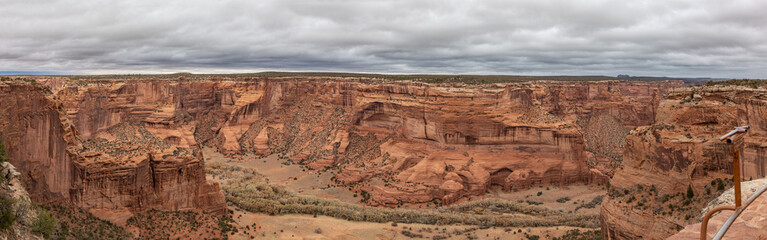 Petrified Forest in National Park in Arizona