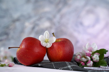 Poster - red apples and spring apple blossom on background