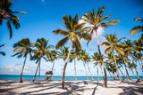 Fototapeta Las - 
Sea Caribbean landscape in Dominican republic with palm trees, sandy beach, green mountains, rocks, blue sky and turquoise water 