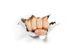 © Ilja - punching hole through paper wall with fist. Punch break through the paper wall. Fist coming out the paper hole isolated on white background