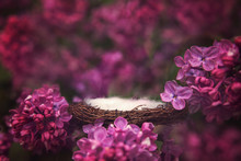 Floral Digital Backdrop For Newborn Photography Composites