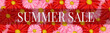 Summer Sale banner or header background. Red and pink daisy flowers. Seasonal shopping offer. Realistic vector illustration with lettering.