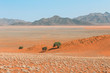 Blick über die orangen Sanddünen in der weitläufige Wüste Namib in Namibia 