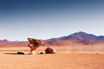 Wall Mural - Stone tree Arbol de Piedra in the desert on plateau Altiplano, Bolivia