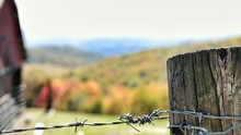 Close-up Of Barbed Wire Fence