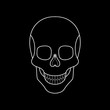 Abstract linear head of skull. Tattoo skull. Logo of the skull. Vector illustration