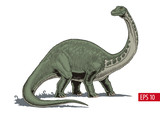 Fototapeta  - Brontosaurus or diplodocus dinosaur, comic style vector illustration