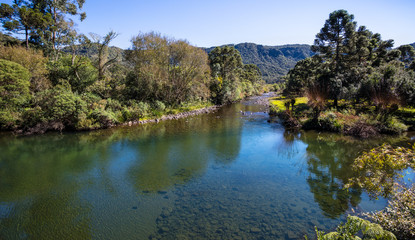 Poster - Paisagem rural com rio e floresta