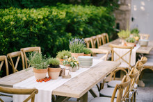 Wedding Dinner Table Reception At Sunset Outside. Ancient Rectangular Wooden Tables With Rag Runner, Wooden Vintage Chairs, Lavender Pots, Cherry Tomatoes And Clay Pots With Lemons On Tables