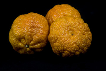 rough skin tangerines on black close up