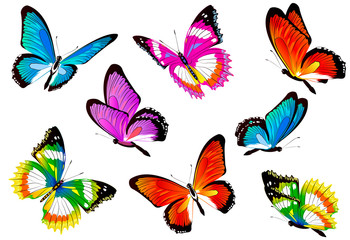 Sticker - butterfly585