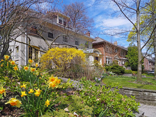 Poster - Street of large traditional detached homes with front yards with spring flowers