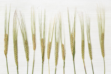 Ears of ripe rye. White wooden background with ripening ears close up. Concept of autumnal harvest time. Flat lay with copy space.