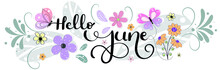 Hello June. JUNE Month Vector With Flowers, Butterflies And Leaves. Decoration Floral. Illustration Month June
