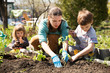 © ulza - Mom and two kids planting seedling In ground on allotment in garden