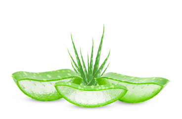 Aloe vera slice on white background.