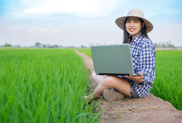 Asian young farmer woman smile face sitting and using laptop at green rice farm