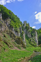 Wall Mural - summer landscape with mountains and a small river