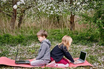 A girl and a boy sit back to back behind laptops and study in a flowering garden. Against the background of green grass and flowering trees. Remote entertainment.