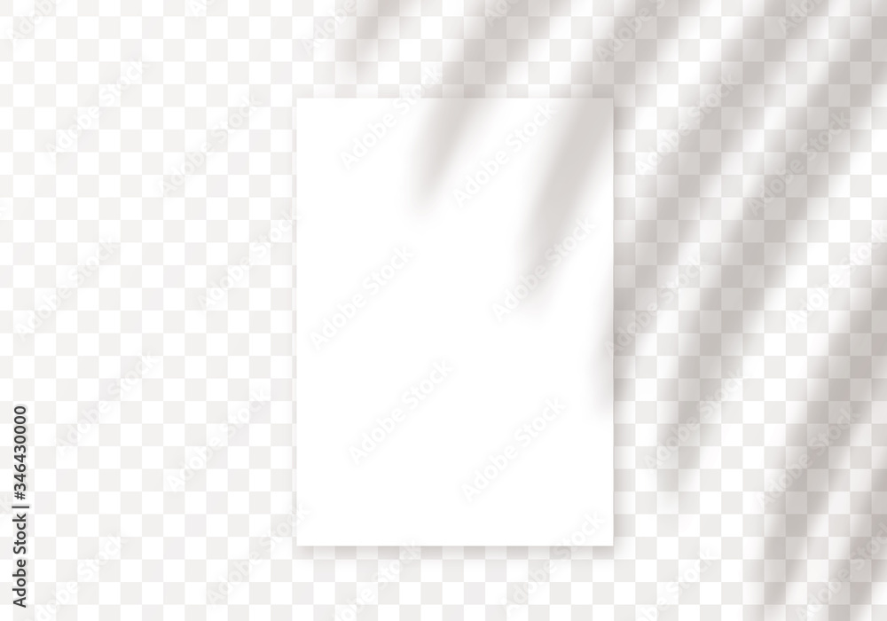 Transparent Card Shadow Vector shadow overlay. Vector transparent palm leaves shadow and a4 ...