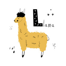Vector Hand-drawn Baby Illustration With Llama And Letter L. ABC Book. Cute Zoo Alphabet With Funny Animals. Letters. Learn To Read. Isolated. For Kids. Alphabet. Letter L.
