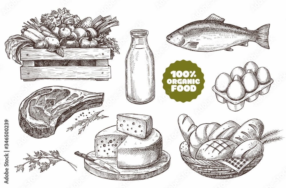 Set of illustrations of farm products. Natural products: meat, cheese, bread, milk, eggs, fish, vegetables. Vintage design. - obrazy, fototapety, plakaty 